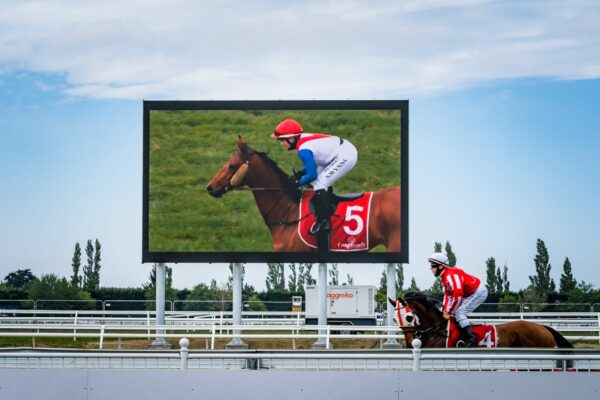 Riccarton Racecourse Installation