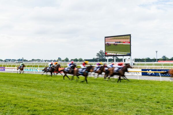 Riccarton Racecourse Installation